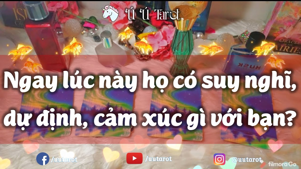 🎊🍁💕Chọn 1 tụ bài Tình yêu - Ngay lúc này, họ có suy nghĩ/cảm xúc/dự định gì với bạn? Ú Ú Tarot
