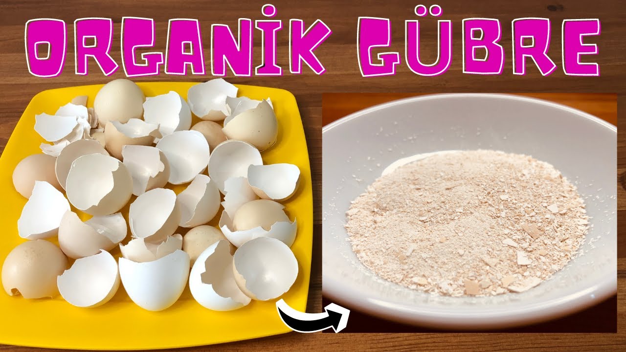 Yumurta Kabuğundan Gübre Yapımı