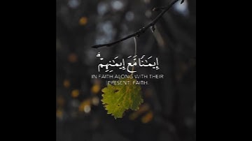 هُوَ ٱلَّذِيٓ أَنزَلَ ٱلسَّكِينَةَ فِي قُلُوبِ ٱلۡمُؤۡمِنِينَ || سورة الفتح || عبدالرحمن مسعد 💙🍃