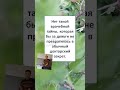 #смех #прикол #ТАЙНЫ и СЕКРЕТЫ 🙂😂😁 #Shorts