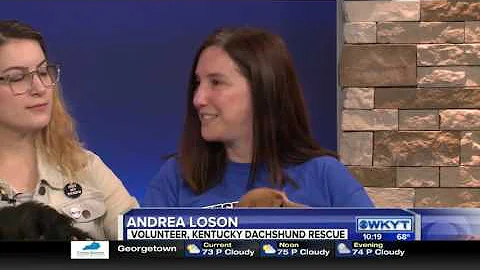 Kathy McIntosh, Andrea Loson, Lindsey Loson - Kent...