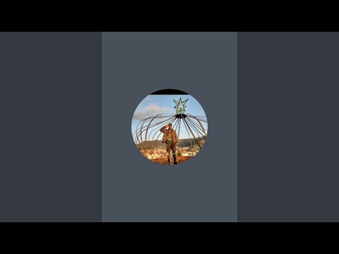 نوبسوى