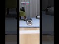 ねこ マリカー #shorts