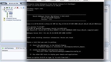 NEW Oracle VM 3.2.6 doing Live Migration