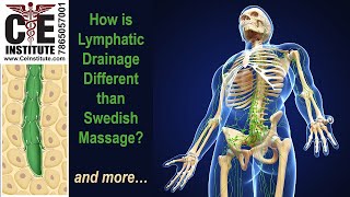 Lymphatic Drainage  vs  Swedish Massage - What's the Difference?