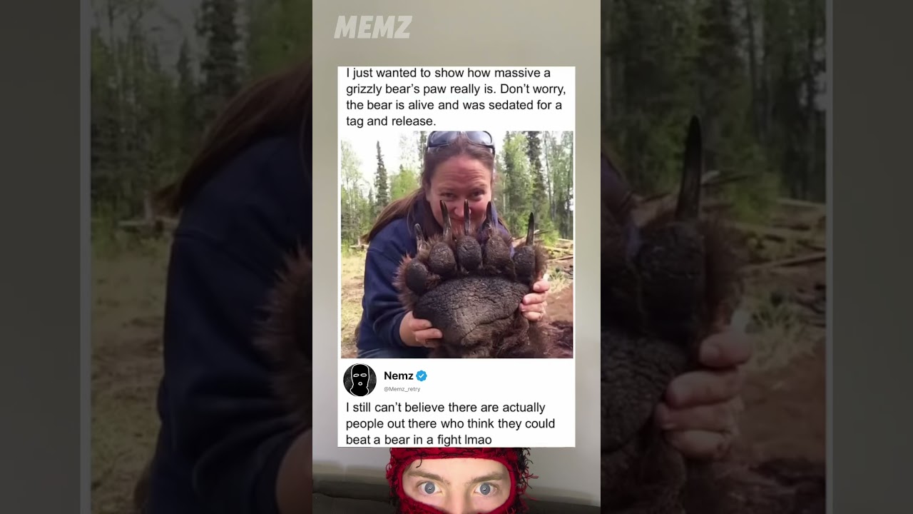 No one could fight a grizzly bear 🐻￼