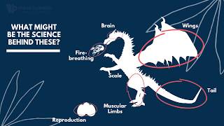 Can you Build a Dragon? | A look into Gene Editing and Bioengineering
