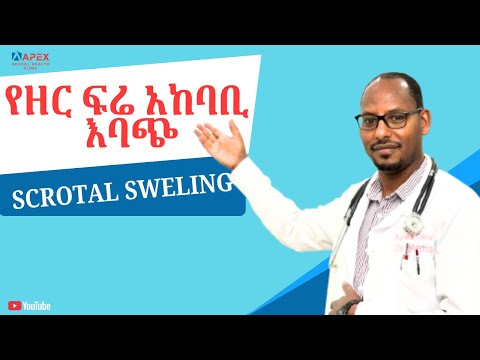 የዘር ፍሬ አከባቢ እባጭ/ Scrotal swelling