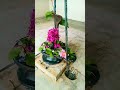 Pata nhi kis rup me aakar shiv shanker mil jayege📿🔱🌹🙏#jaybholenath#herhermahadev#shivsambhu#sanatani