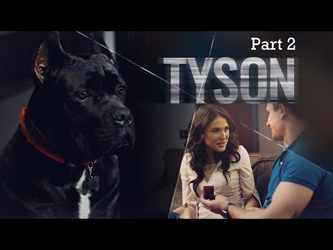 TYSON PART 2