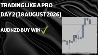 TRADING LIKE A PROFESSIONAL - DAY 2 AUDNZD WIN