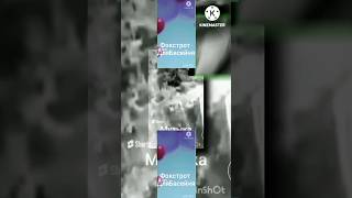 Ytpmv Its Time To Wake Up Masha And The Bear Scan