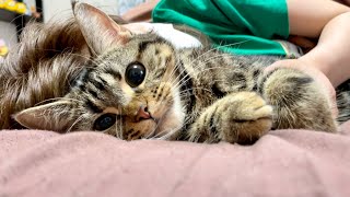 朝寝坊した猫を起こしに行ったら突然寝ぼけた行動を取りはじめましたw
