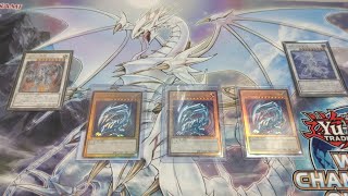 青眼デッキ　更新 青眼デッキ更新