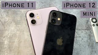 iPhone 11 vs iPhone 12 mini сравнение камер и отличия