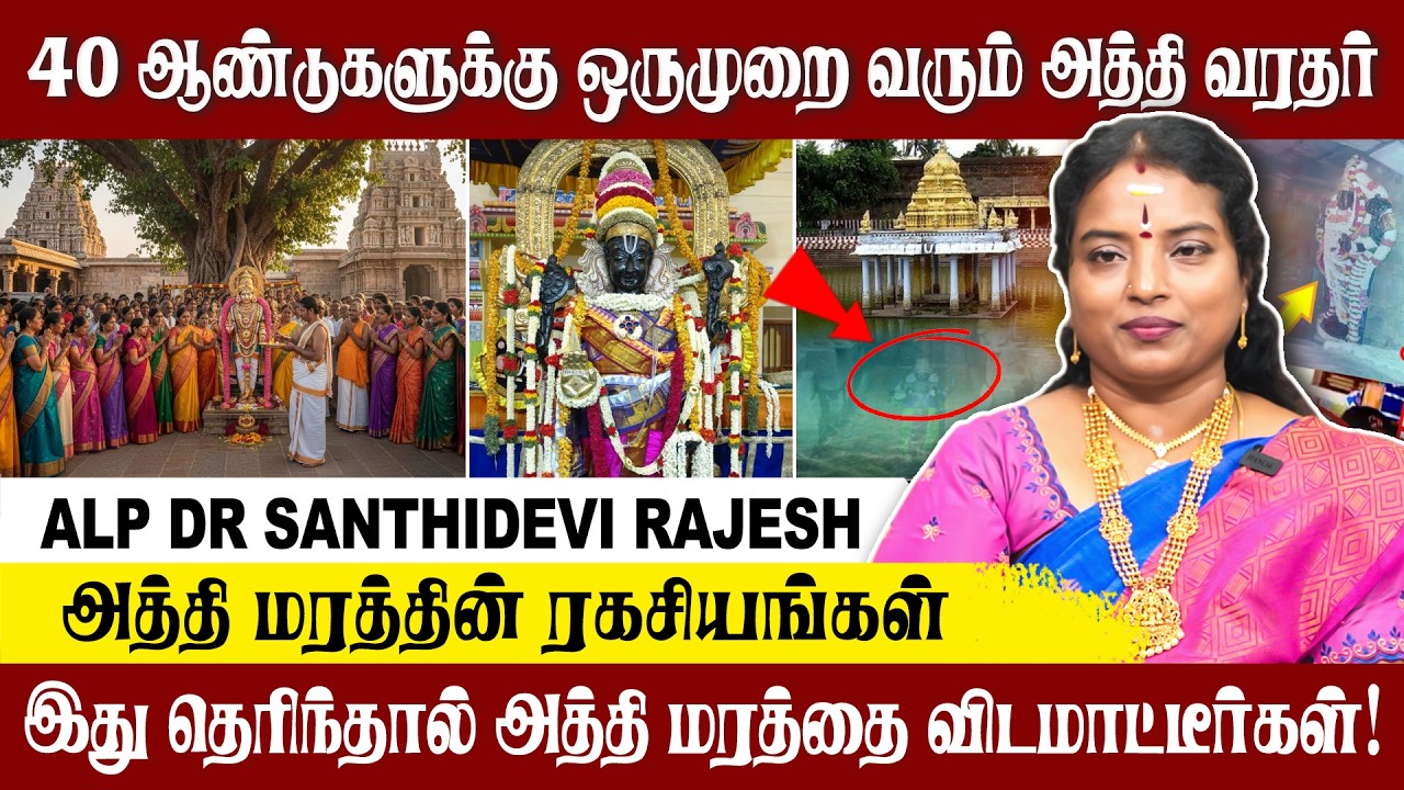 அத்தி வரதரின் புராணக் கதைகளும் அத்தி மரத்தின் மகத்துவமும்! | ALP ASTROLOGY | #alpastrology #perumal