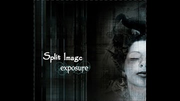 Split Image - In Better Days