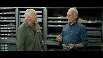 Mais de dez mil dinossauros foram enterrados em Wyoming no Dilúvio de Noé - Dr. Arthur Chadwick