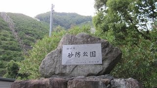 - 3D - 有田川町田口の幻想的なホタル　2013