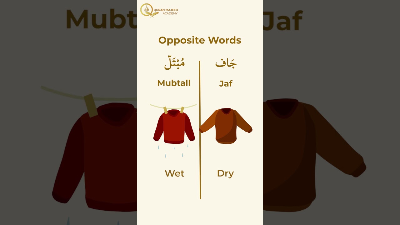 15 Arabic Opposite Words for Beginners | Learn Arabic Vocabulary