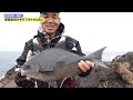 解禁直前の手打でオナガねらい 鹿児島県甑島 ~新増初生