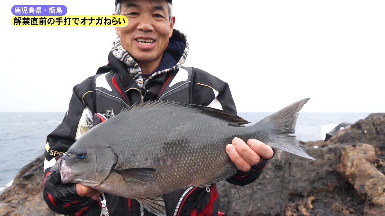 解禁直前の手打でオナガねらい 鹿児島県甑島 新増初生 Youtube