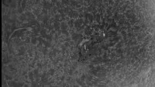 Sun in Mono Negative 4K - 2024 08 31