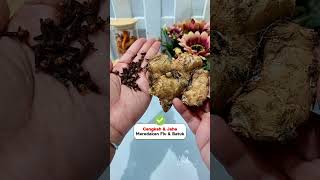 Sehat Alami Dengan Cengkeh.. !?#tips #tipssehat #infosehat #herbal #cengkeh
