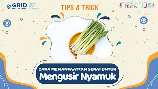 Cara Memanfaatkan Serai untuk Mengusir Nyamuk, Tak Perlu Beli Semprotan Anti Nyamuk Lagi!