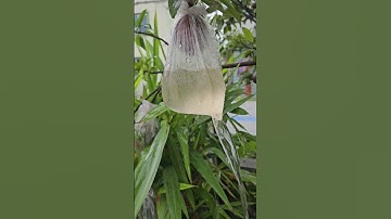 একটি সমস্যা দূর করতে গিয়েও আরেকটি সমস্যা বাড়লো