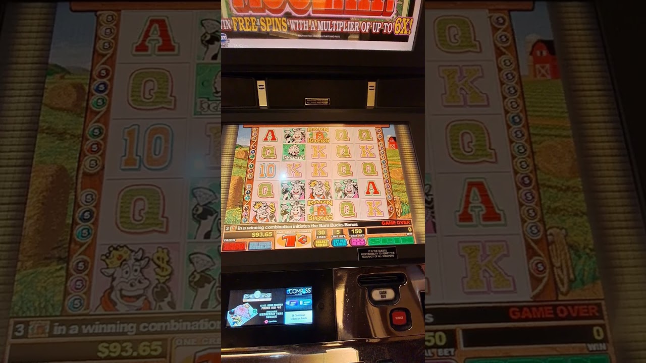 🐄 Moolah 🐄 only way to win money is the bonus feature