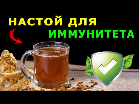 Video: Onko echinacea antibiootti?