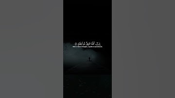اكتب شيء تؤجر عليه 😴💚 قران كريم | عبد الرحمن مسعد