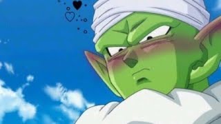 Nerf piccolo pls