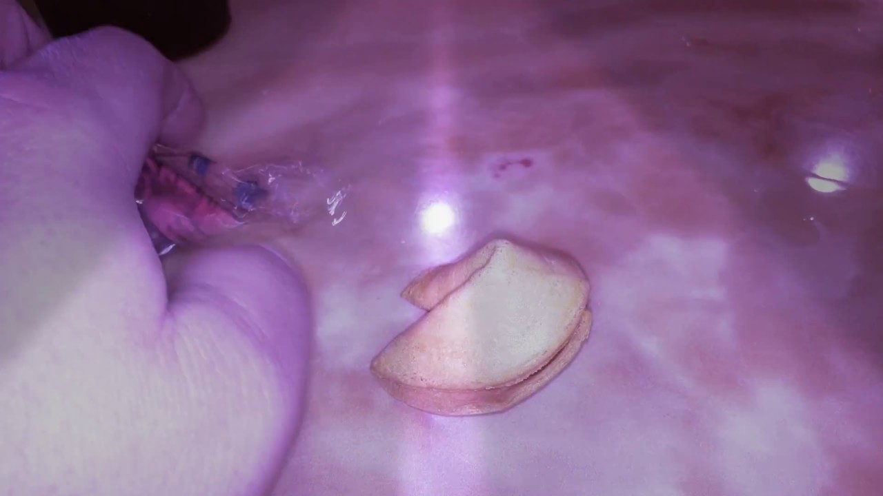 Most EPIC Fortune Cookie Fortune in Chinese Restaurant History. Must See!