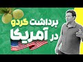 برداشت گردو در آمریکا بازدید کشاورز ایرانی از باغ آمریکایی 2021 