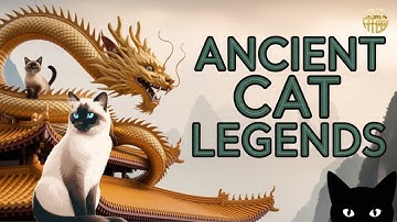 Cats of Asia:  Legends, Cat Mythology and Folklore