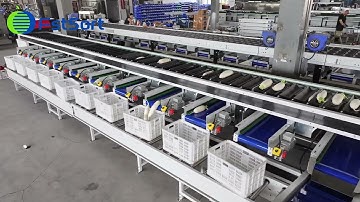 Optical radish sorting grading packing line,carrot weight sorter machine,vegetable processing