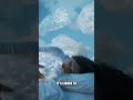 Why Can Some People See the Future in Dreams?