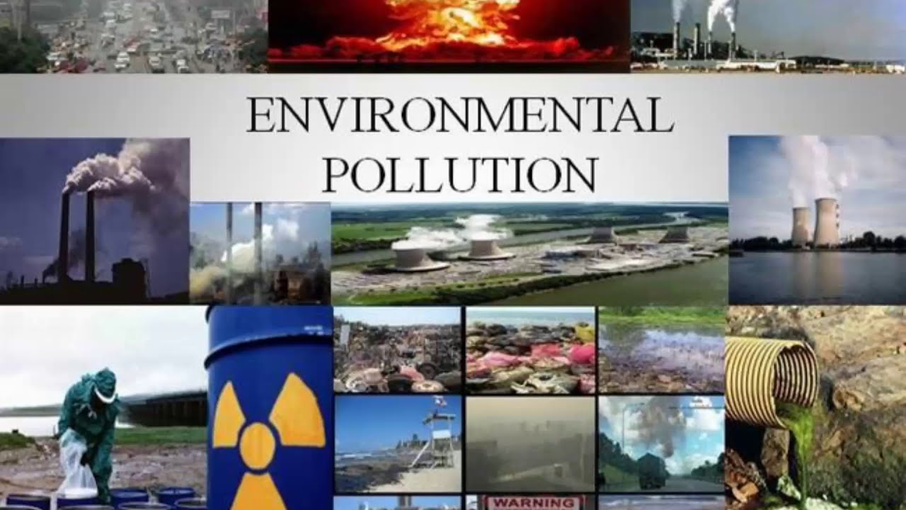 Environmental pollution / Types of Pollution