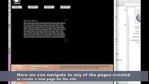 Flash website application