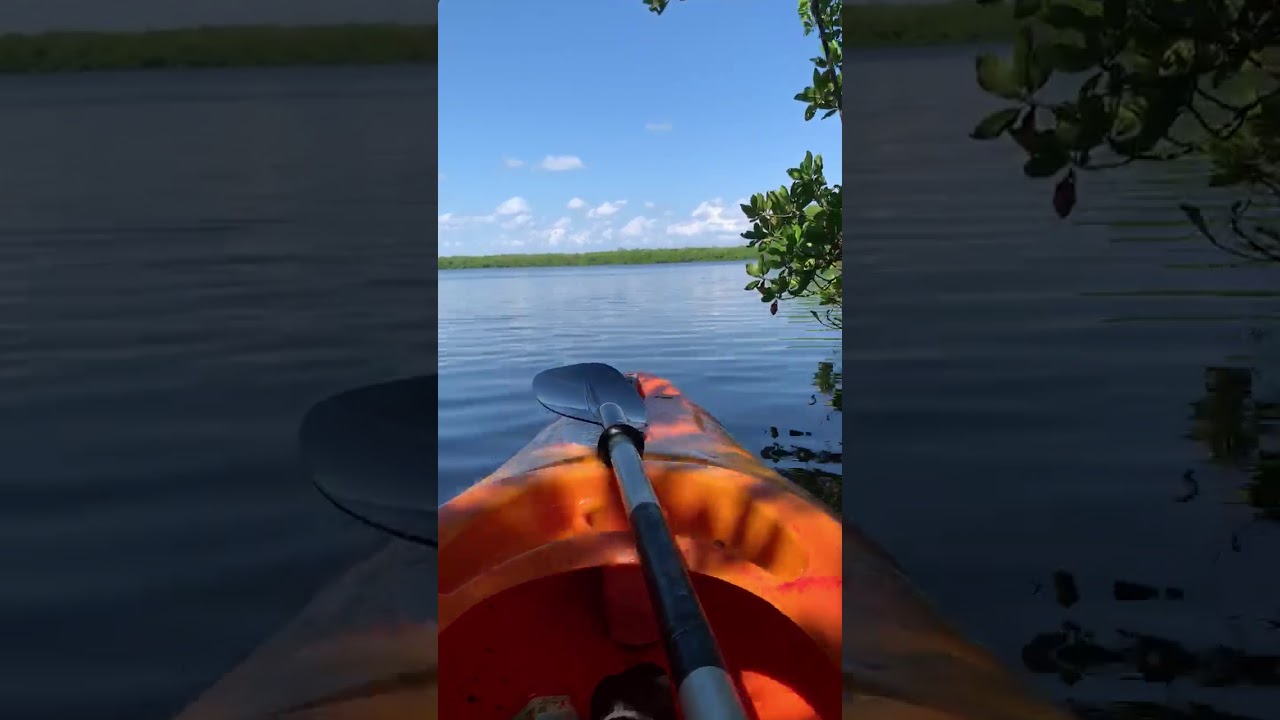 Epic Adventures of the Treasure Coast - Ft. Pierce Kayak Tours