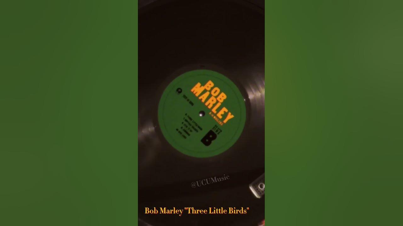 Bob Marley "Three Little Birds" #fyp #viral #reggae