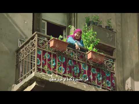 إعلان البنك الاهلي الكويتي 2017 جامد جدا