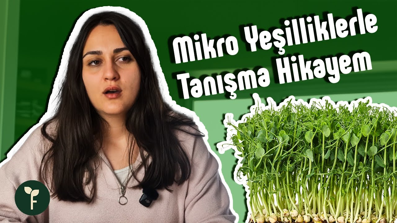 Mikro Yeşilliklerle Tanışma Hikayem🌿 Neden Yetiştirmeye Başladım? | Apartman Dairesinde Mini Çiftlik