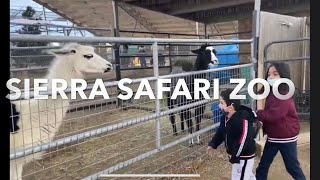 Sierra Safari Zoo | Reno Nevada USA #kids