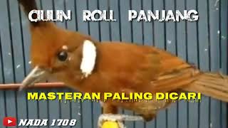 MASTERAN CILILIN ROLL PANJANG. SUARA JERNIH #MASTERAN PALING DICARI