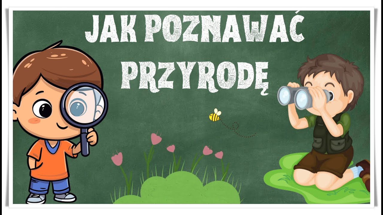 Sprawdzian Końcoworoczny Z Przyrody Dla Klasy V Jak poznawać przyrodę - lekcja przyrody dla klasy czwartej. - YouTube