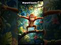 shararti bandar #shorts #shortsviral