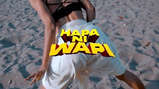 Hapa ni wapi (official video)__ Amiri Amiri. Resimi